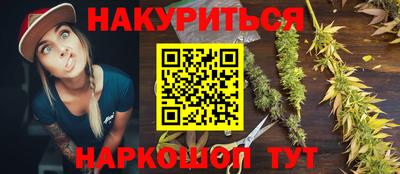 крисы Будённовск
